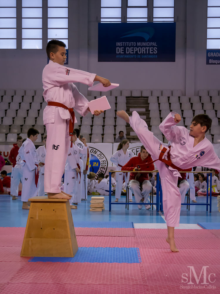TAEKWONDO CAMPEONATO PAREJAS ABRIL 2018_2005.jpg